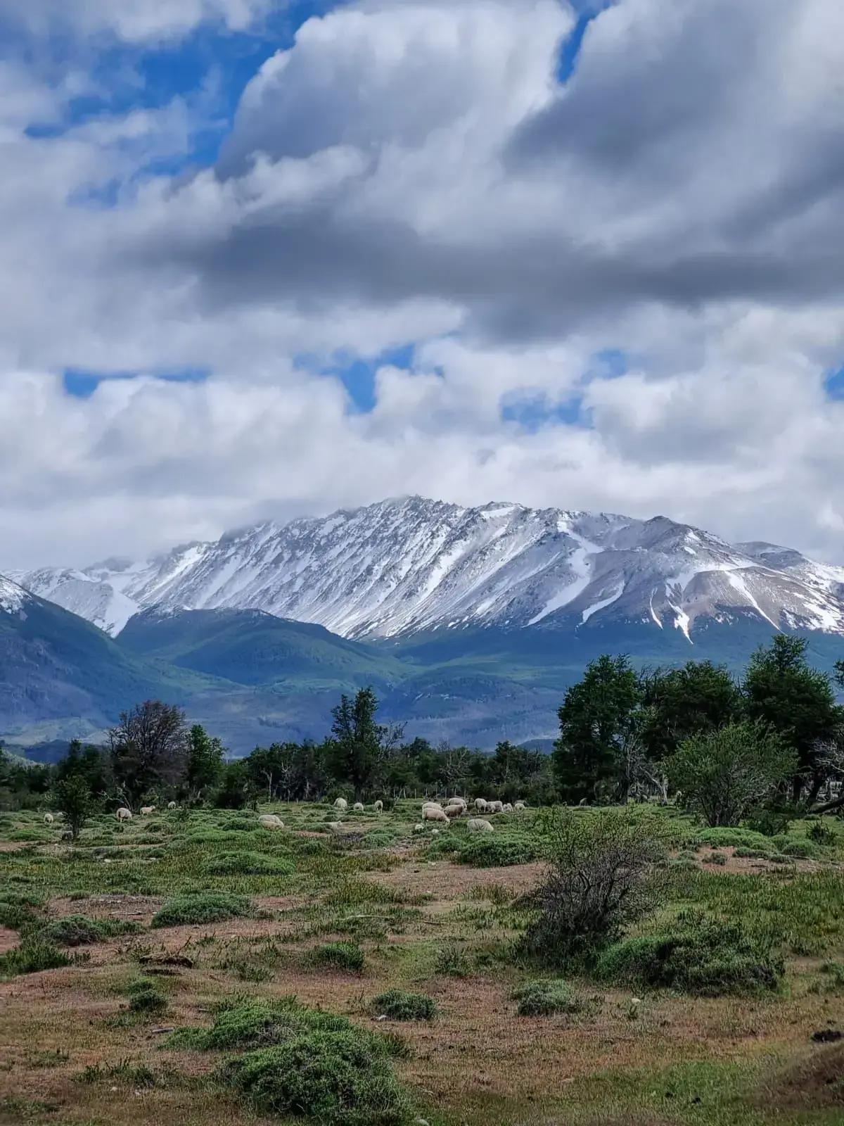 Vista de a las Cordilleras y la naturaleza desde la Cabaña Andesita
