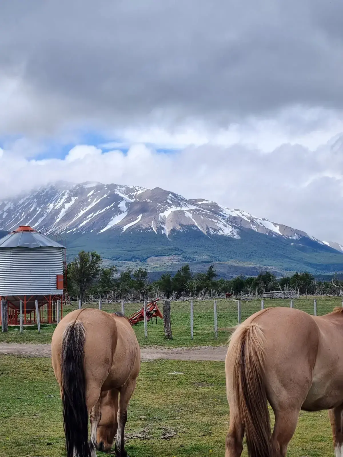 Vista de a las Cordilleras y a los caballos desde la Cabaña Andesita