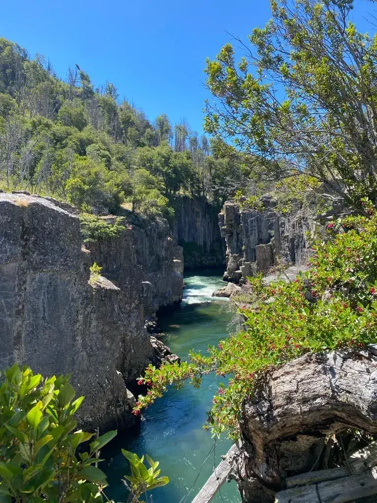 Vista al Río Pampa, ideal para ir a pescar, cerca de la Cabaña Andesita